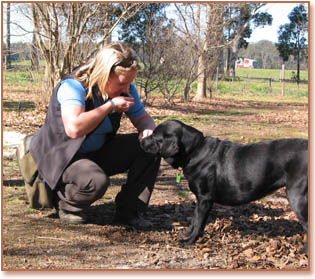 Truffle Hunt